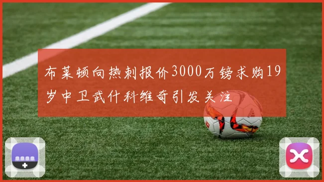 布莱顿向热刺报价3000万镑求购19岁中卫武什科维奇引发关注