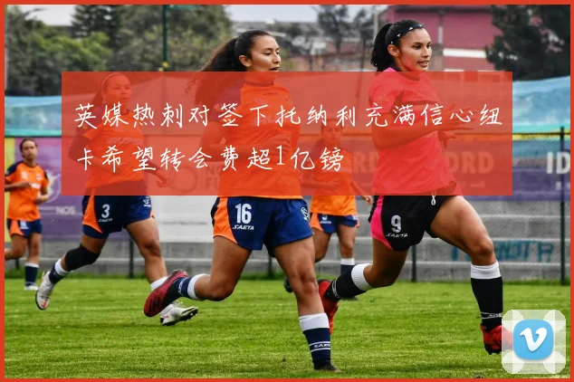 英媒热刺对签下托纳利充满信心纽卡希望转会费超1亿镑